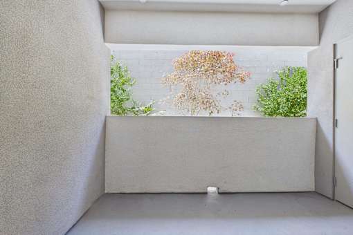 A white room with a plant in the middle.