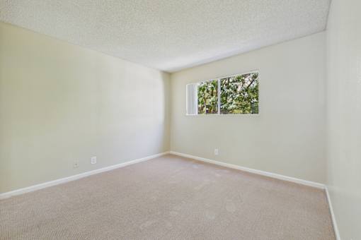 A room with a window and a carpeted floor.