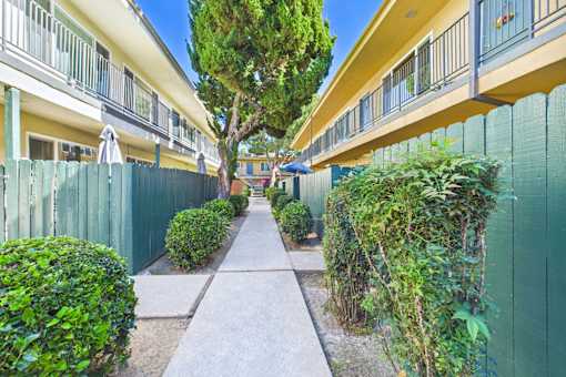 A long, narrow walkway separates two rows of green fences and houses.