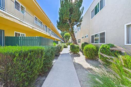 A pathway leads between two buildings with green shrubbery on the sides.