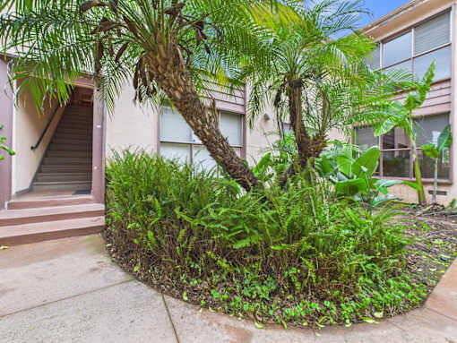 A palm tree stands in a garden in front of a building.