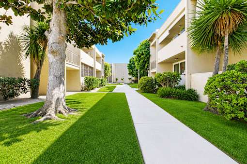 A tree-lined walkway leads to a building.