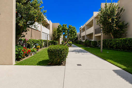 A sunny day in a residential area with apartment buildings and a sidewalk.