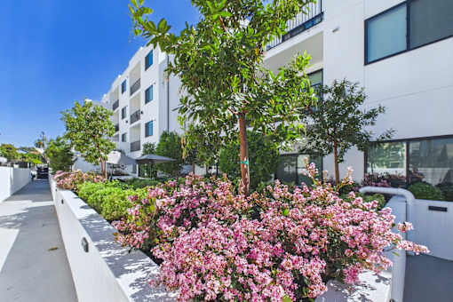 A white building with a tree in front of it.