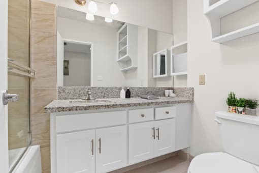 a bathroom with a sink and a toilet and a shower
