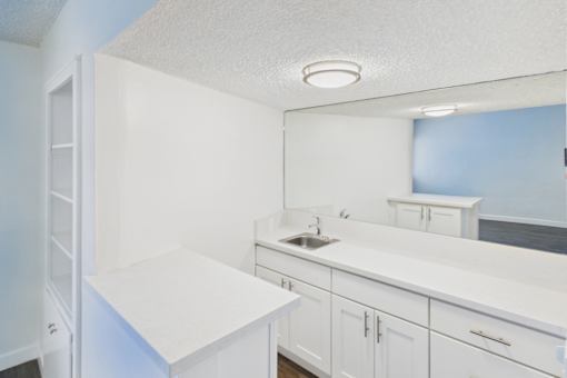 A white kitchen with a sink and cabinets.