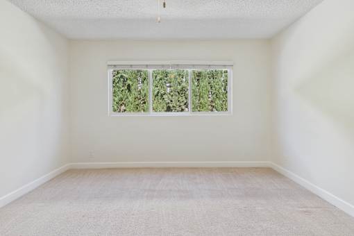 A room with a window showing greenery outside.