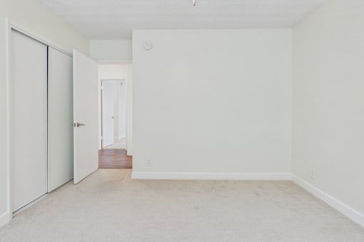 A room with a white wall and a carpeted floor.