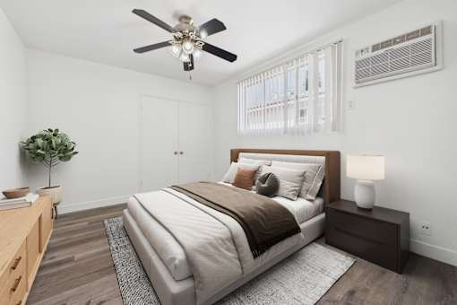 A bedroom with a large bed, a ceiling fan, and a nightstand with a lamp.