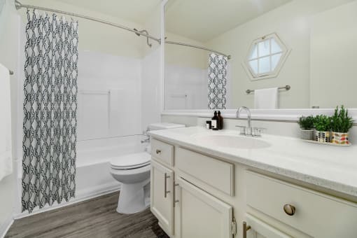 a bathroom with a sink and a toilet and a shower