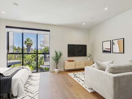 A living room with a couch, a television, and a plant.