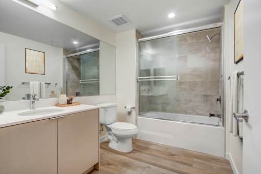 A modern bathroom with a walk-in shower and a toilet.