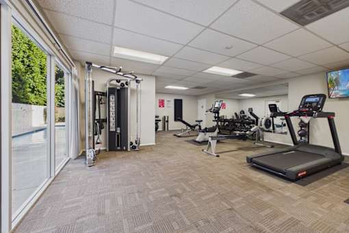 A gym with treadmills, exercise bikes, and other equipment.