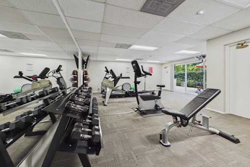 A gym with a row of treadmills on the left and a row of stationary bikes on the right.