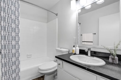 a bathroom with a sink and a toilet and a shower
