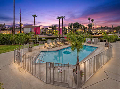 A pool surrounded by a fence with a sun lounger and palm tree.