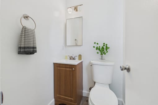 A white toilet with a plant on top of it.