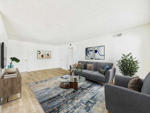A living room with a grey couch, a wooden coffee table, and a blue rug.