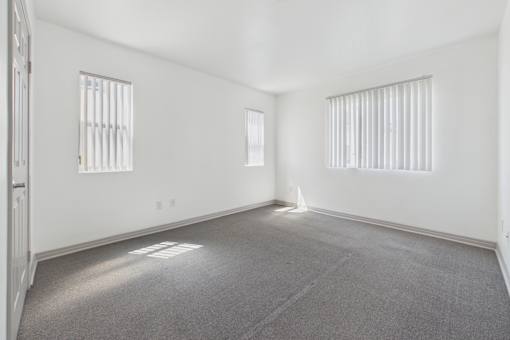 A spacious room with two windows and carpeted floor.