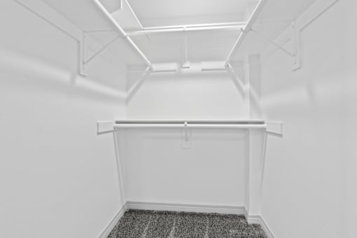 A white room with a grey carpet and white walls.
