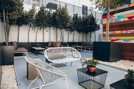 Peaceful setting created by ivy-draped walls, with custom graffiti art wall, interaction-focused lounge areas
