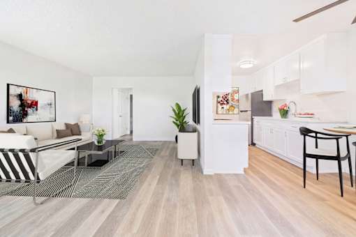 A modern living room with a white sofa and a grey rug.