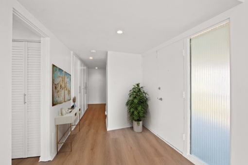 a living room with white walls and a plant