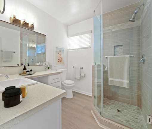 a bathroom with a shower and a sink and a toilet
