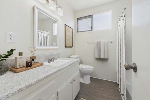 A bathroom with a white toilet, sink, and a mirror.