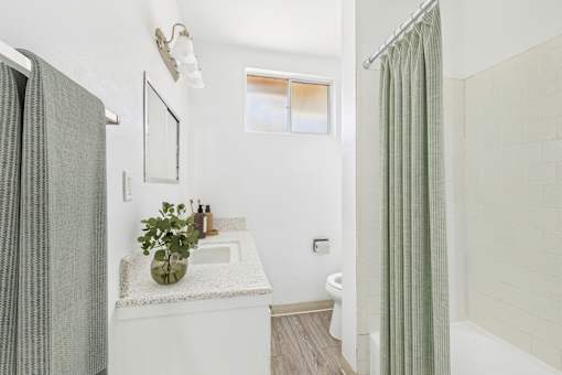A bathroom with a white sink and a green plant on the counter.