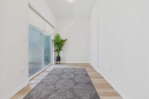 A long hallway with a rug on the floor and a plant in a black planter.