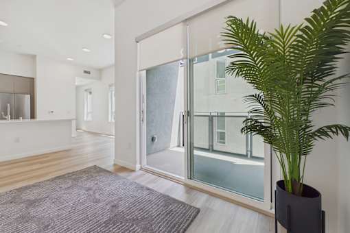 A room with a plant in a black pot.