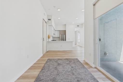 A long hallway with a rug on the floor and a glass door on the right.