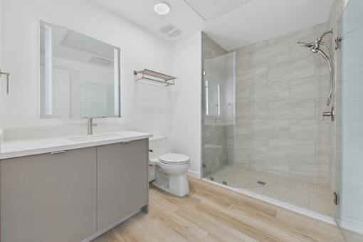 A modern bathroom with a walk-in shower and a toilet.