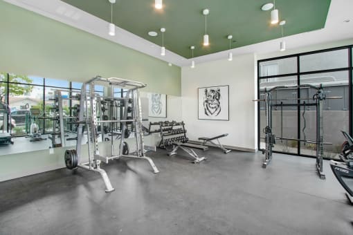 the gym at the preserve at johnsons crossing