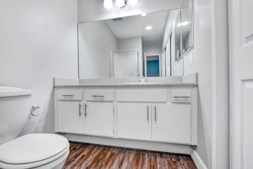 a bathroom with a toilet and a sink and a mirror