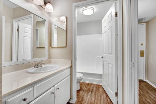 a bathroom with a sink and a toilet and a mirror