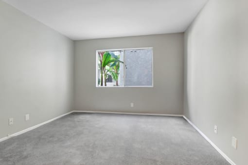 an empty room with a window with a plant in it