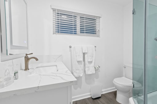 a bathroom with a sink and a toilet and a shower