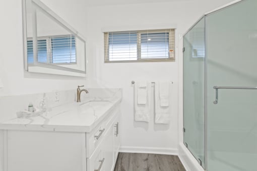 a bathroom with a shower and a sink and a mirror