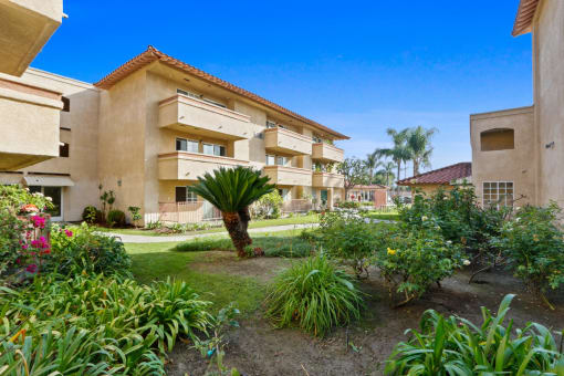 a view of a garden in front of a building
