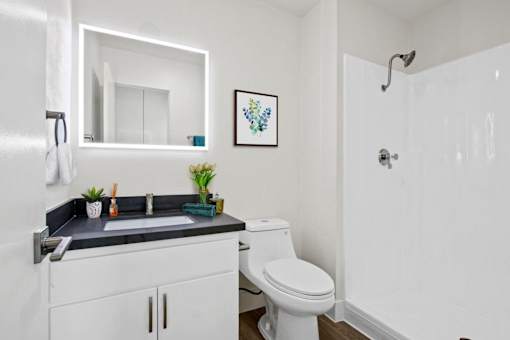 A white bathroom with a black countertop and a white toilet.