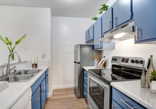 a kitchen with blue cabinets and stainless steel appliances