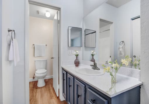 a bathroom with a sink and a toilet