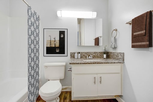 a bathroom with a toilet and a sink and a shower