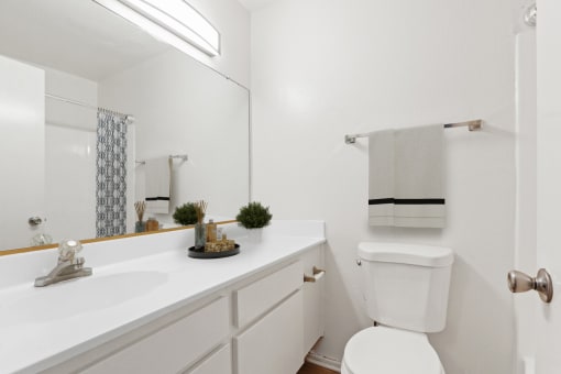a bathroom with a toilet and a sink and a mirror