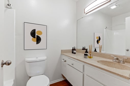 a bathroom with a sink toilet and a mirror