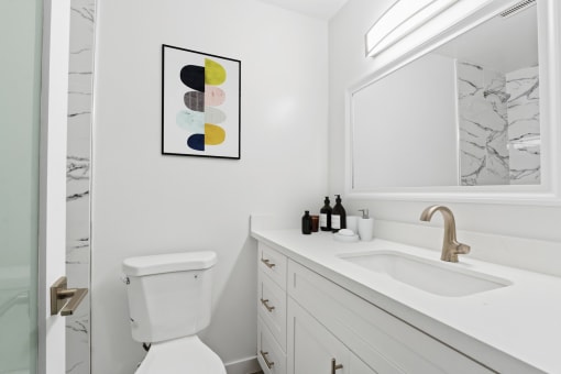 a bathroom with a sink and a toilet and a shower