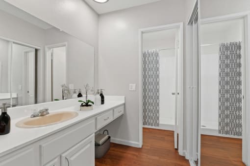 a bathroom with a sink and a mirror and a shower