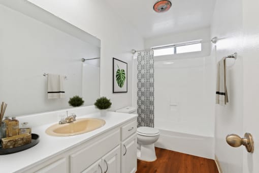 a bathroom with a sink and a toilet and a shower